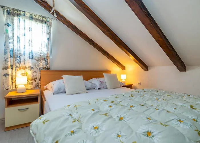 Donadina-dalmatian Heritage House 特罗吉尔
